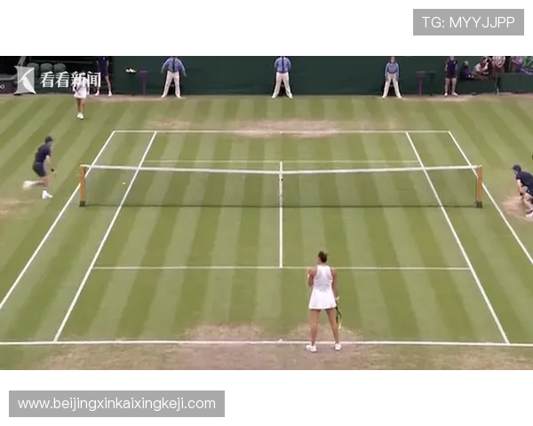 全面解析网球竞赛基本规则与实用比赛技巧及裁判要点详解指南全书 全面解析网球竞赛基本规则与实用比赛技巧及裁判要点详解指南全书